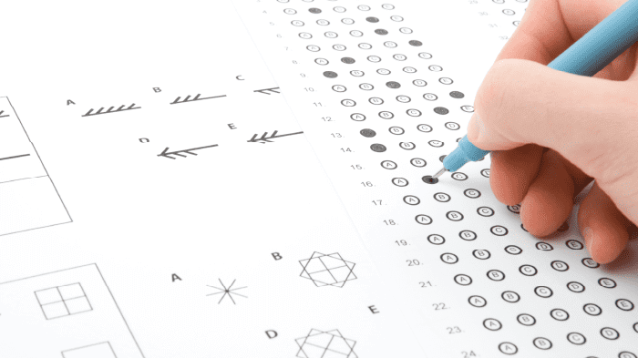 How Accurate Are Online IQ Tests for Career and Hiring Assessments