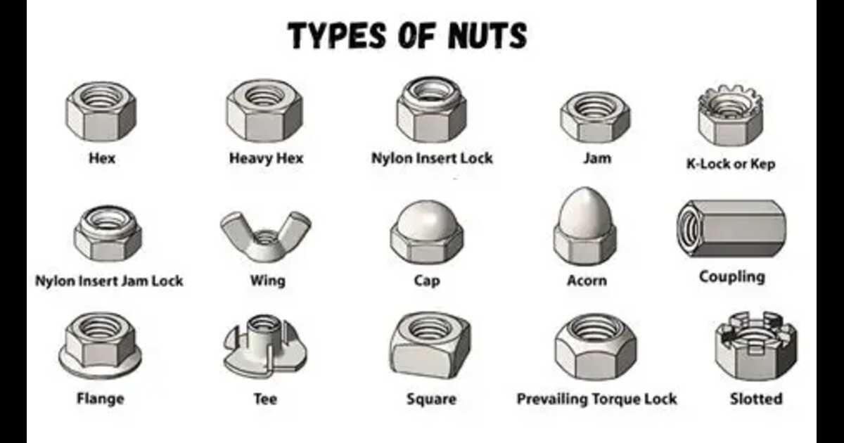 Types of Nuts: A Complete Guide to Fastener Nut Varieties