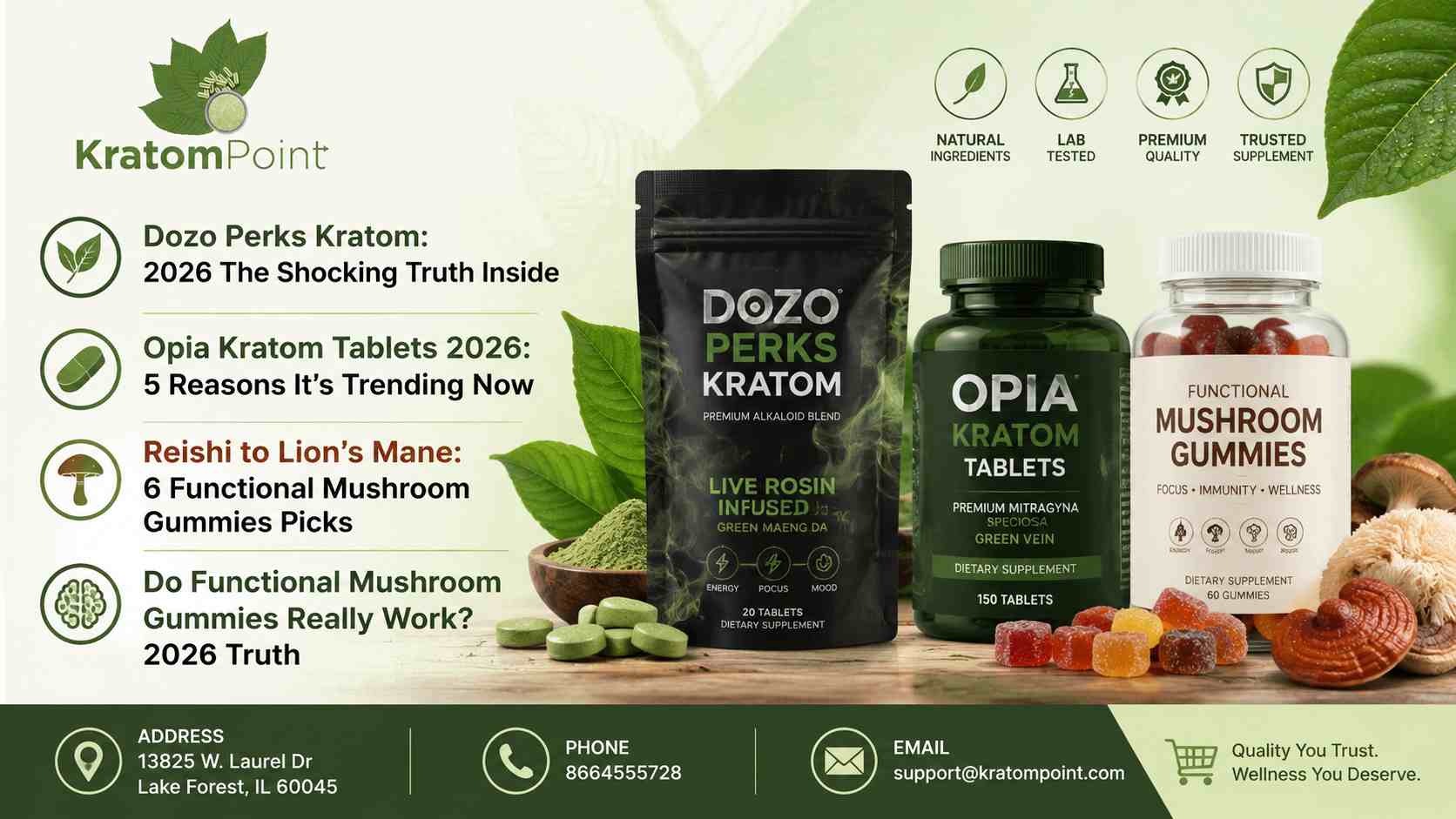 Functional Mushroom Gummies Really Work? 2026 Truth